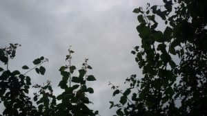  времето дъжд локви небе здания капки дърв0 