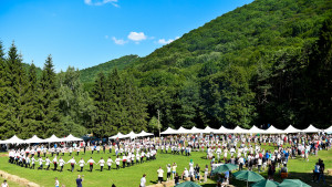 събор Леденика