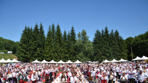 събор Леденика