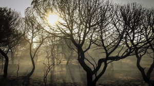 пожар Испания природен парк