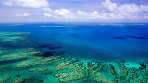 Големият бариерен риф