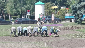  замяна на цветята в Хасково 