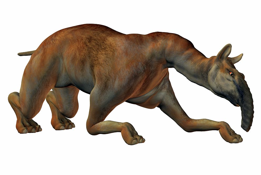 Macrauchenia patachonica има врат на камила, крака на носорог и хобот.