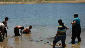 риба водоеми Враца