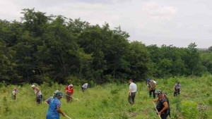 ДЛС Тервел фиданки