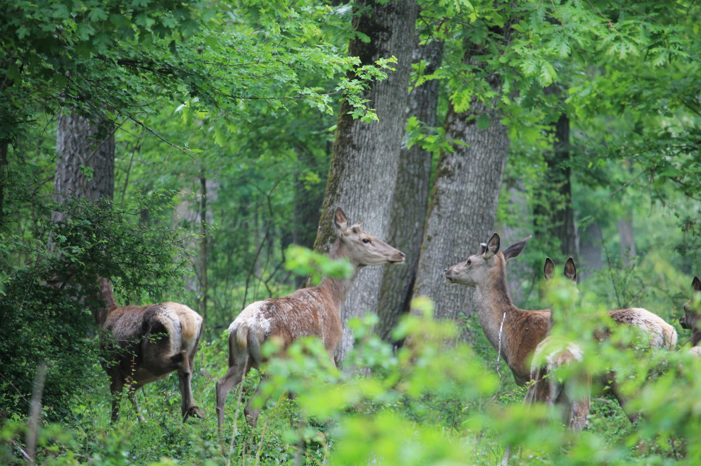 Проверките започват от другата седмица