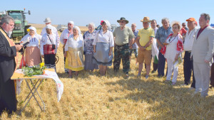 жътва Силистренско