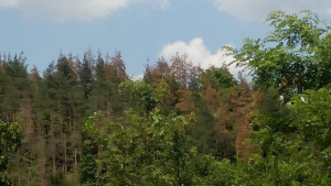 Планински спасители