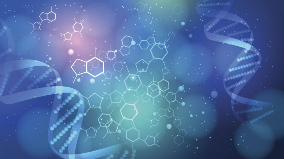 ДНК гени генетика
