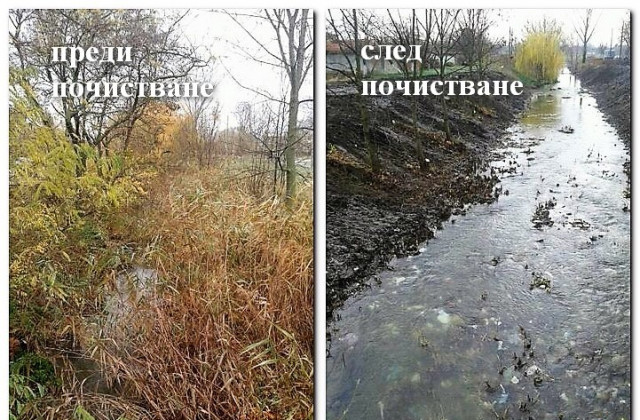 Жельо войвода