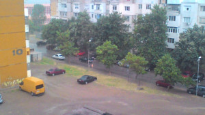 валежи