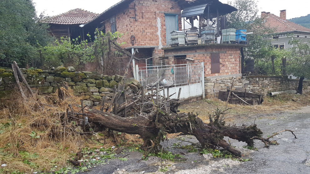 Буря в мездренско