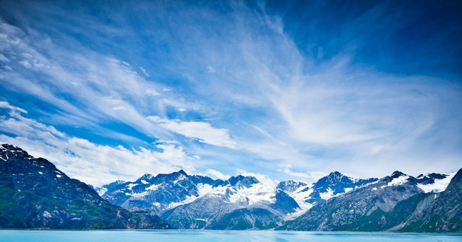 Странни морски създания край Югоизточна Аляска които приличат на розови