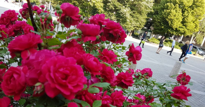 През нощта ще бъде предимно ясно а в петък предимно