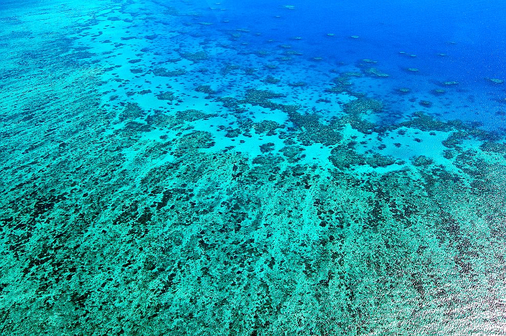 През 2015 г. ЮНЕСКО заплаши, че ще постави Големия бариерен риф сред застрашените обекти