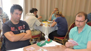 Юлиян Стефанов бридж