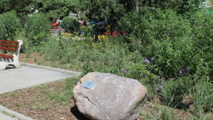 Габрово и Тун