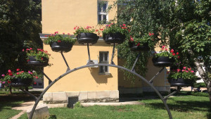 арка цветя Враца