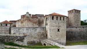 фестивал Видин