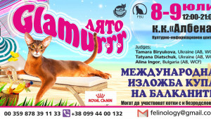 изложба котки