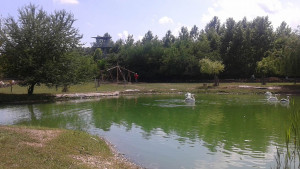 екокъща добрич