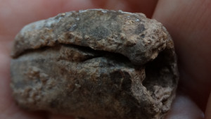 Градище Враца