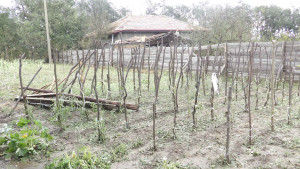 Оценяват щетите от бурята