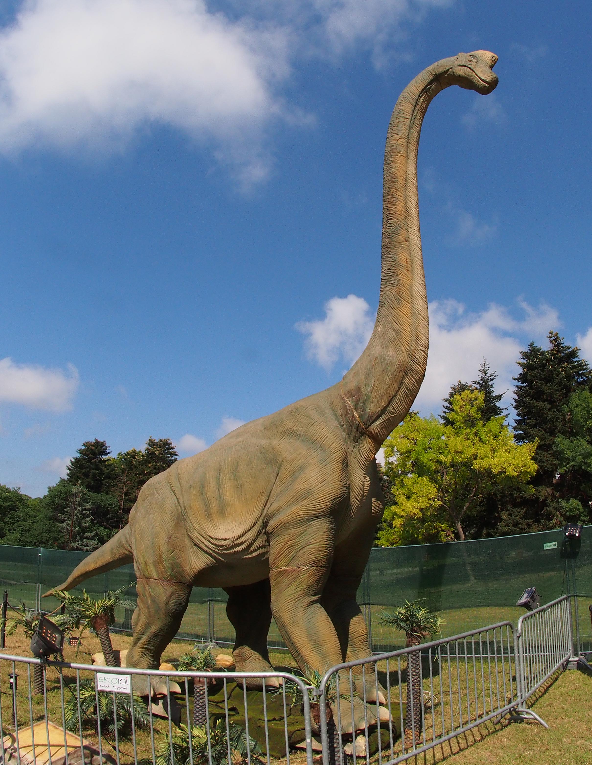 Една от най-атрактивни изложби в света „Живите динозаври“ отвари врати във Варна. Гигантските реалистични копия на праисторическите животни са разположени под Пантеона в Морската градина.