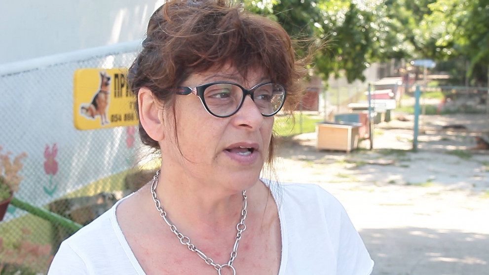  Горещините въздействат и на животните 