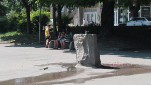 чешмичка шумен