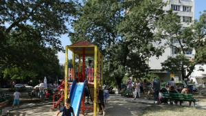 протест в Стрелбище