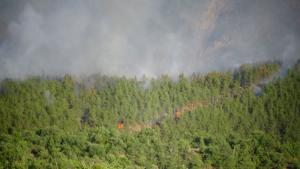 Кресна пожар