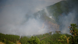 Кресна пожар