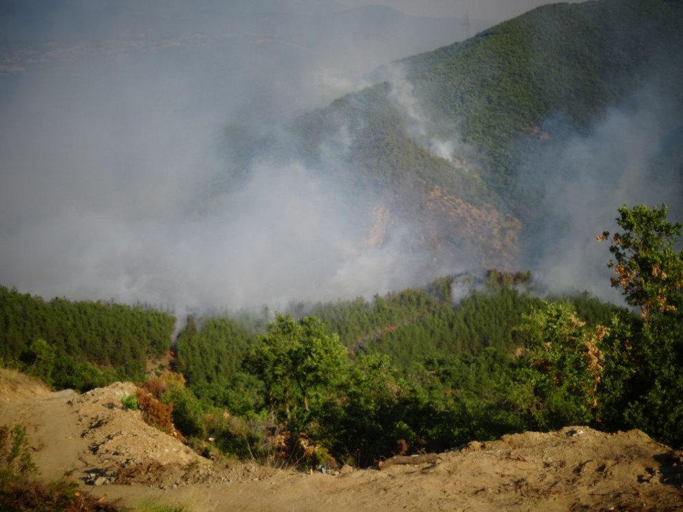 Пожар в гора