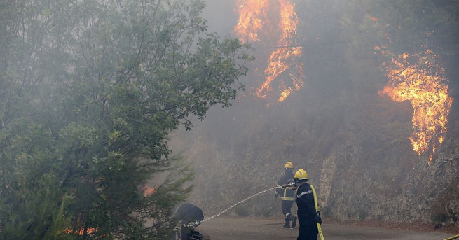Черна гора се бори с пожари обхванали полуостров Лущица на