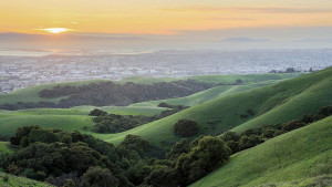 Сан Франциско Калифорния