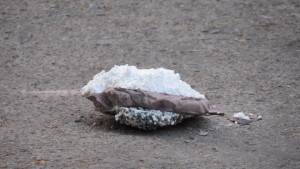 блок Шумен парче