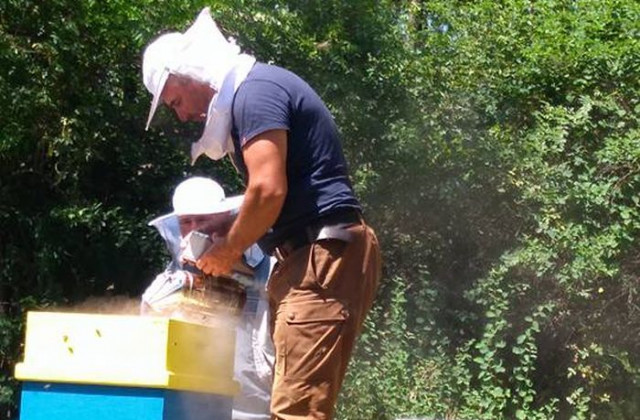 ДГС-Якоруда произведе първа реколта пчелен мед