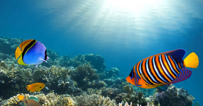 Учени работят над създаване на уникален биоматериал който може да