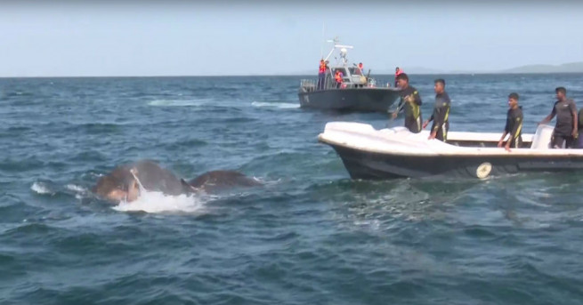 Военно морските сили на Шри Ланка проведоха 12 часова операция