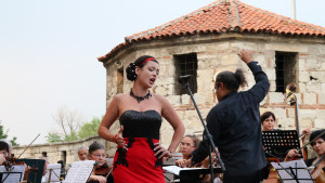 фестивал Видин