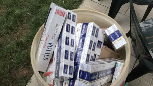 Агенция Митници