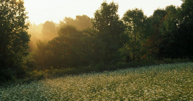 Двойка млади хора в САЩ си построи своя къщичка на