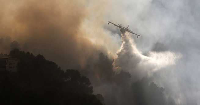 Над 3000 хектара горски масиви са унищожени от природни пожари