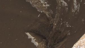 Русе порой наводнени улици