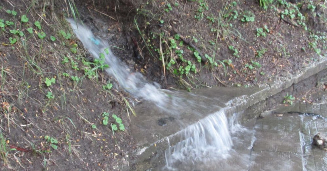 23 годишен шофьор пострада след като дърво падна върху автомобила