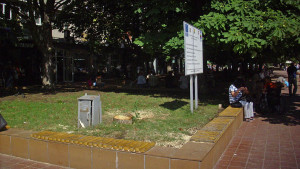 дъжд добрич