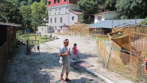 зоопарк зоокът Кьошковете