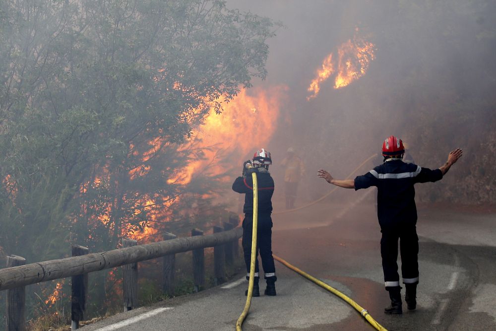 В плен на стихията са гористи местности с изглед към средиземноморските курорти, които са пълни с туристи. 650 хектара гори са в пламъци в района на Сен Тропе, а на остров Корсика са унищожени над хиляда и 500 хектара. В потушаването на пламъците са задействани и 19 самолета.
