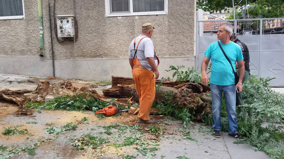  Разчистването продължи и денем 